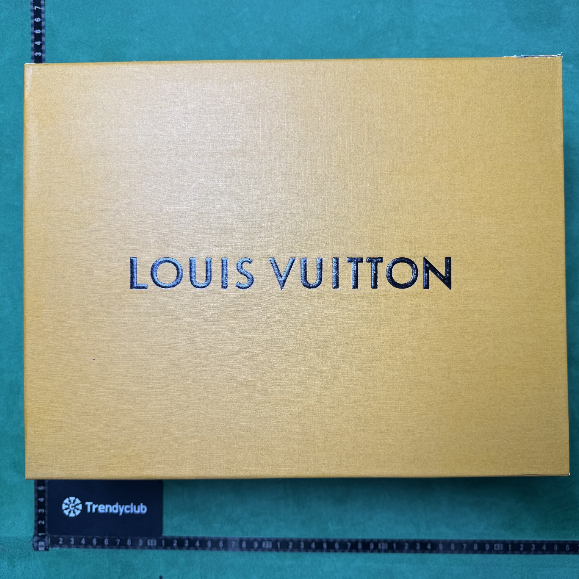 LOUIS VUITTON - LV SKATE